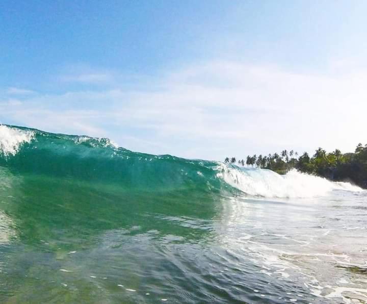Goyambokka Guesthouse Tangalle Eksteriør billede