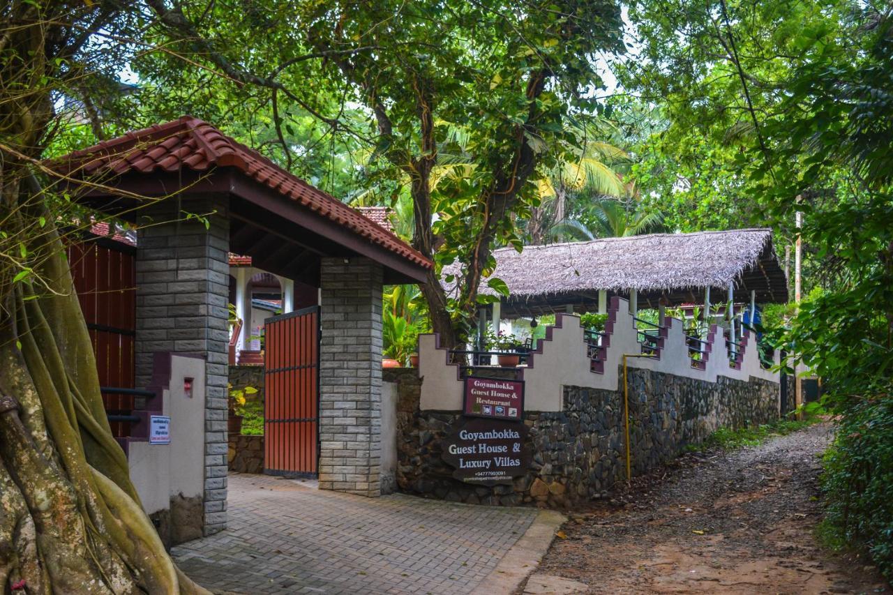 Goyambokka Guesthouse Tangalle Eksteriør billede