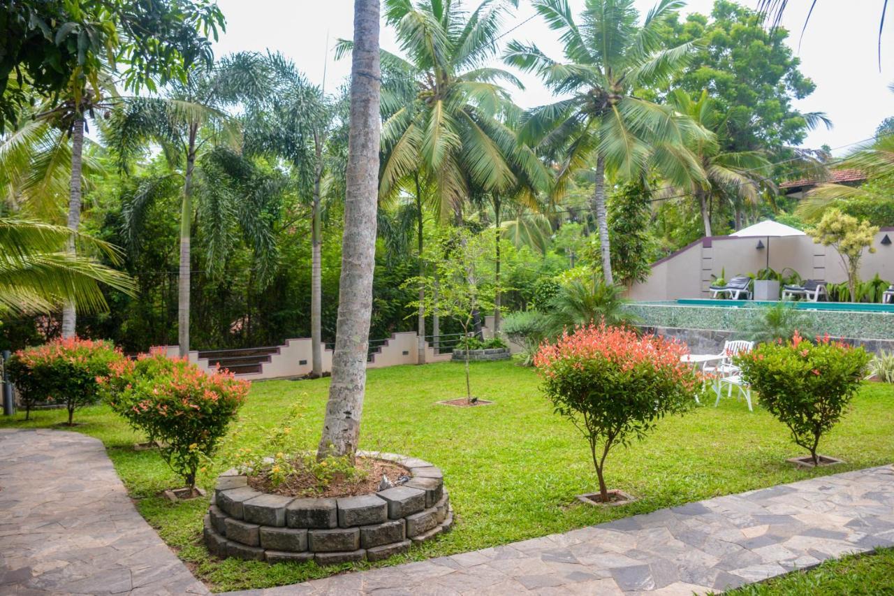 Goyambokka Guesthouse Tangalle Eksteriør billede