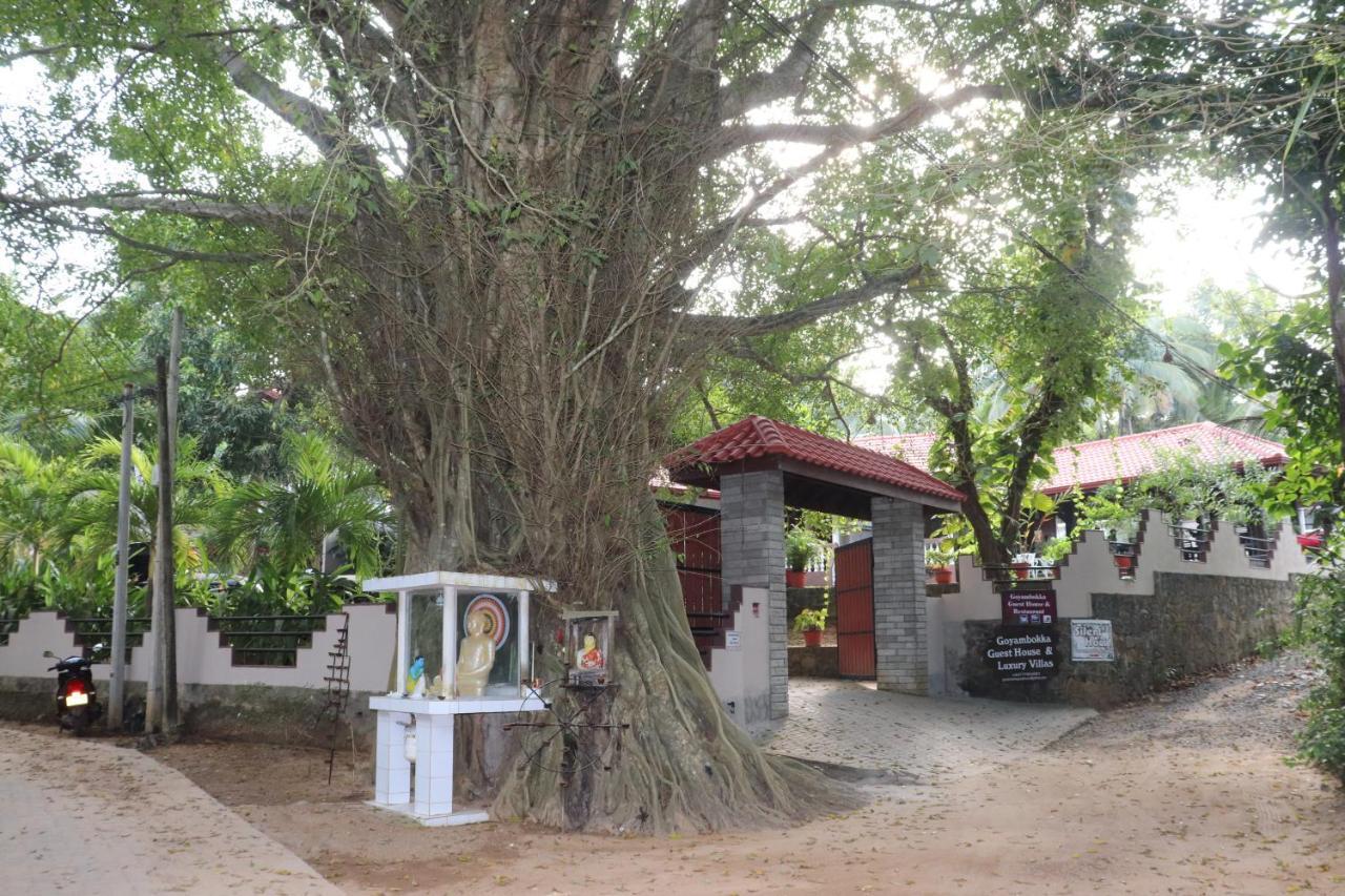 Goyambokka Guesthouse Tangalle Eksteriør billede